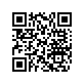 420481410 Shim Kit