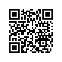 420631400 O-RING