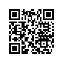 420631610 O-ring