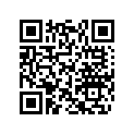 420631611 O-Ring