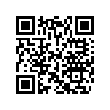420631640 O-Ring