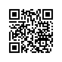 420631641 O-Ring