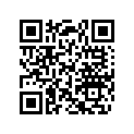 420815025 Segment R 78.0 *ring-r 78.0 Mx Z 670.