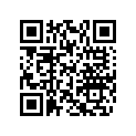 420933441 Plain Half-Bearing