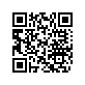 420933456 Plain Half-Bearing