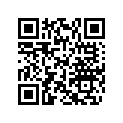 420933465 Plain Half-Bearing