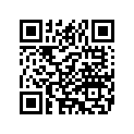 4248079 FOOTBRAKELEVERSUPPORT