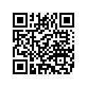 4248481 REARBRAKELINE
