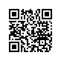 42637A1 SHIM SET