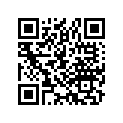 42711-169-015 BTIRE,RR,(INOUE)