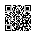 42711-KR3-J03 TIRE,RR.