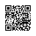 42711-MKC-A01 TIRE, RR. (200/55R16 M/C 77H) (BS)