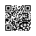 430281077