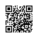 430411931FE