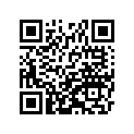 430821241 Тормозные колодки