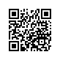430821259 Колодки тормозные