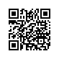 43100013 TIREFRONTD408F13060B1