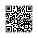 4364481A SPACERASSEMBLY