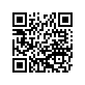 44025-0052 リング(フオ-クピストン)