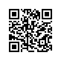 44110-29G00-13L