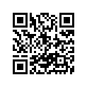 44541-41300