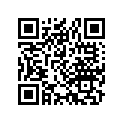 44711-041-003 Tire 225-174pfskr