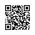44712-300-004 TUBE (100/100-19)