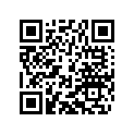 45031007000 IDLING JET
