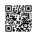 45033070000 Starting Lever