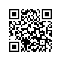 45110266000 CONNECTING LINK 1/2X3/16 90RS