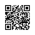 45116-371-006 Shim B, Pad