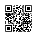 45131001100 CARBUR. DELLO. PHBG 19 BS 2001