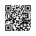 45131007048 IDLING JET 48 DELLORTO