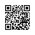 45131034009 JET NEEDLE W9