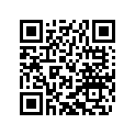45131507045 IDLING JET 45