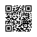 45131534010 JET NEEDLE A10