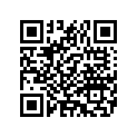 4513304B KITBRAKELINEASY,RRSFT