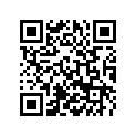 45210071101 SPOKE 3X101 C.113°