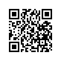 45217-44100 Shim