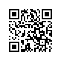 4536090 FRONTFORKTUBECOMPLETE,