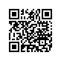 4539387 FRONTFORKTUBECOMPLETE