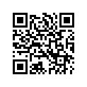 45500113 FORKPIPEASY