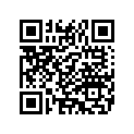 4577777 FORKTUBEPLUG