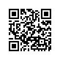 460030104458 Handle, P.silver