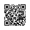 46110165112 Chain 65 SX