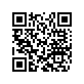 46810499 Shim 12x24x0,25