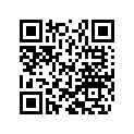 46810501 SHIM 12X28X0,25