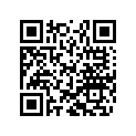 46810503 SHIM 12X32X0,25