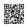 46810504 SHIM 12X34X0,25