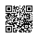 46810508 SHIM 12X24X0,30